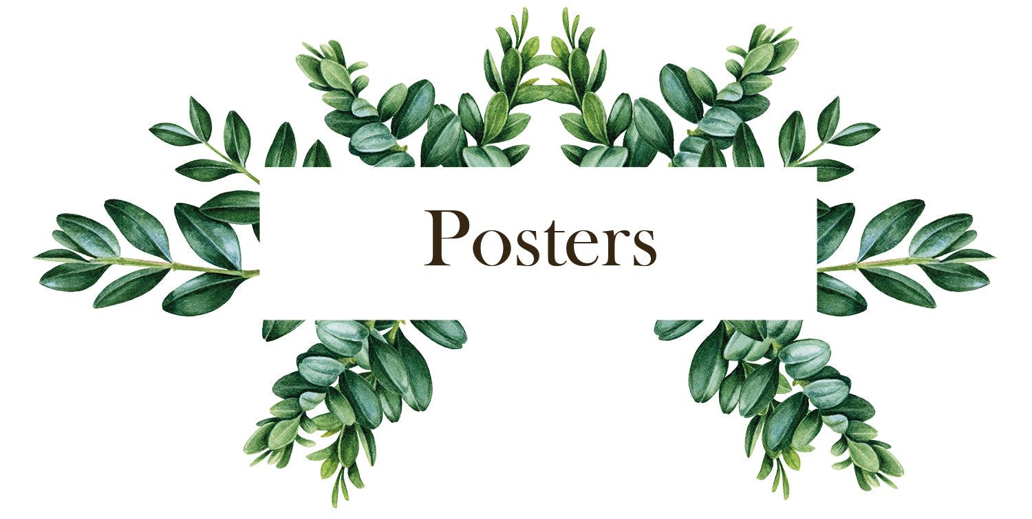 Botaniska posters m.m.
