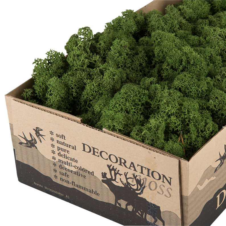 Mossa/Renlav Mörkgrön