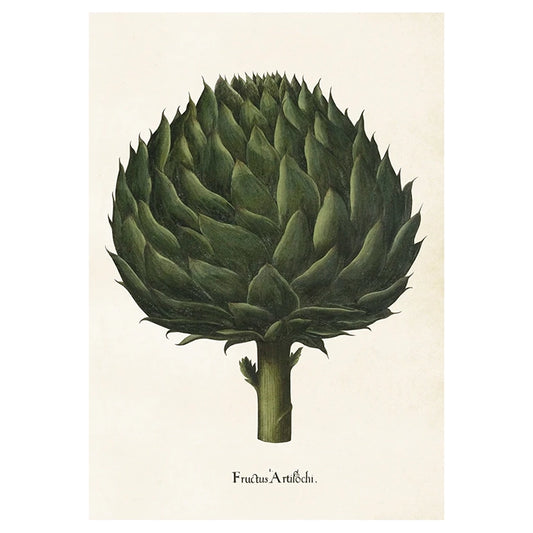 Poster Kronärtskocka M (35 x 50)