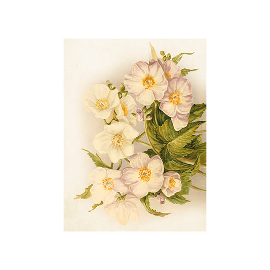 Kort, Små dubbla Blommor