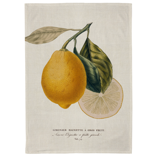 Kökshandduk, (50x70) Citron