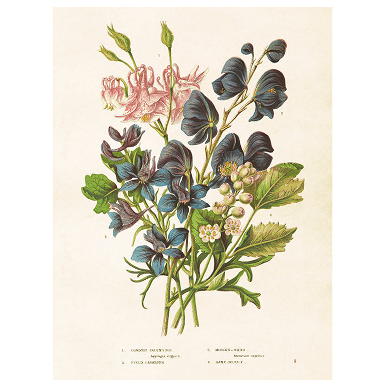 Poster, Akleja & Stormhatt S (18 x 24 cm)