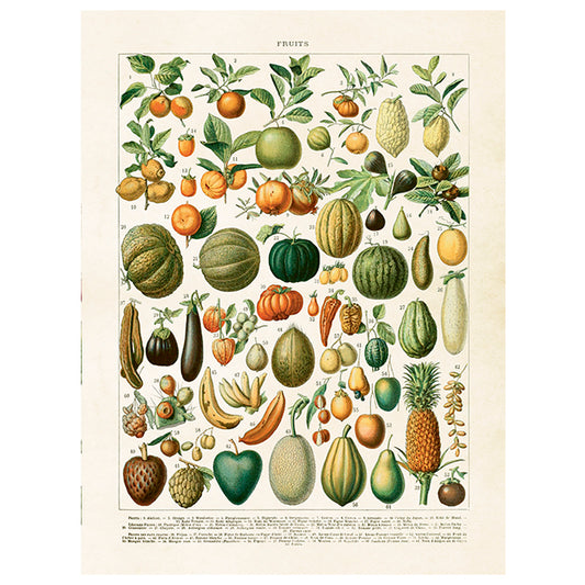 Poster,  Frukter S (18 x 24 cm)