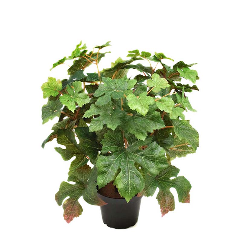 Konstgjord blomma/växt, Vin 35 cm