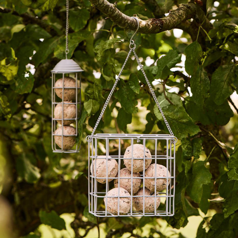 foder upphängning Fågel rund