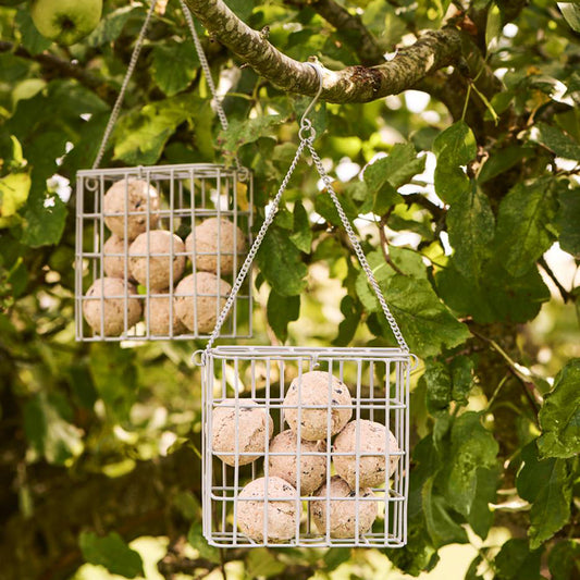 foder upphängning Fågel avlång