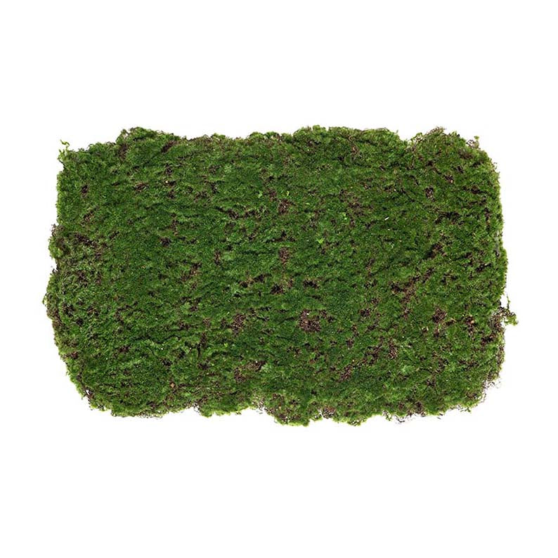 Konstgjorda växter, Mossmatta