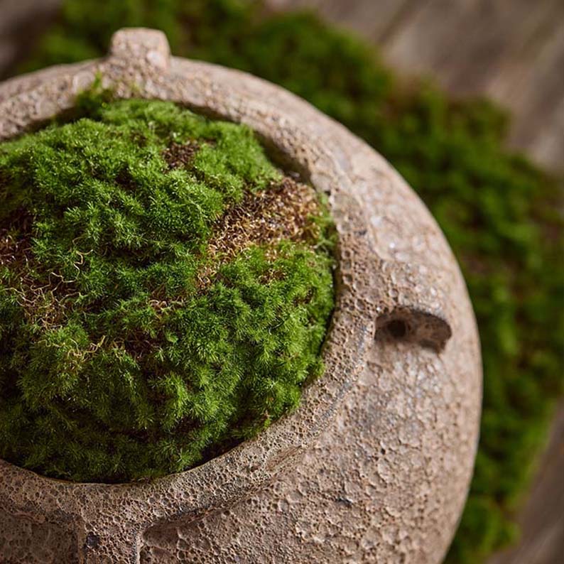 Konstgjorda växter, Mossmatta