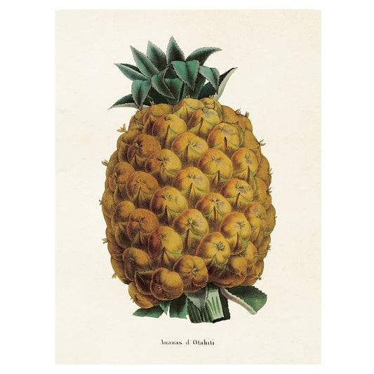 Poster, Ananas S (18 x 24 cm)