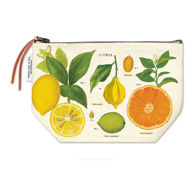 AAA Vintage-fodral, Citrus