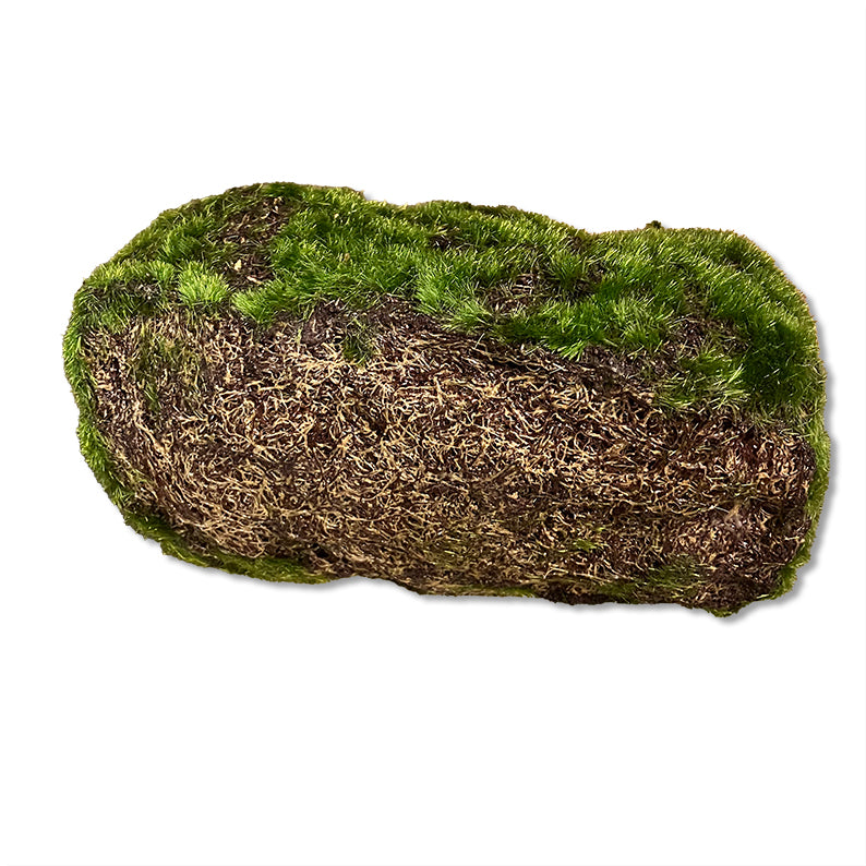 Konstgjorda växter, Mossa