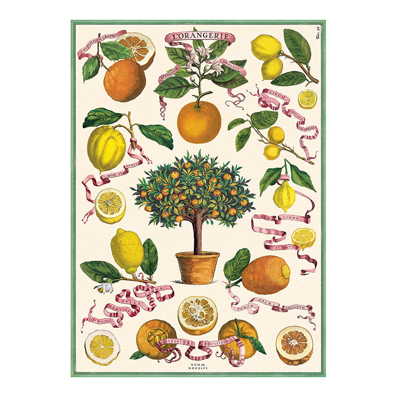 AAA Poster, L'Orangerie L (50x70 cm)
