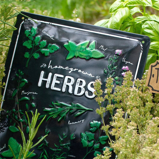 Plåtskylt med texten "Homegrown Herbs" sticker upp bland en massa färska kryddor..