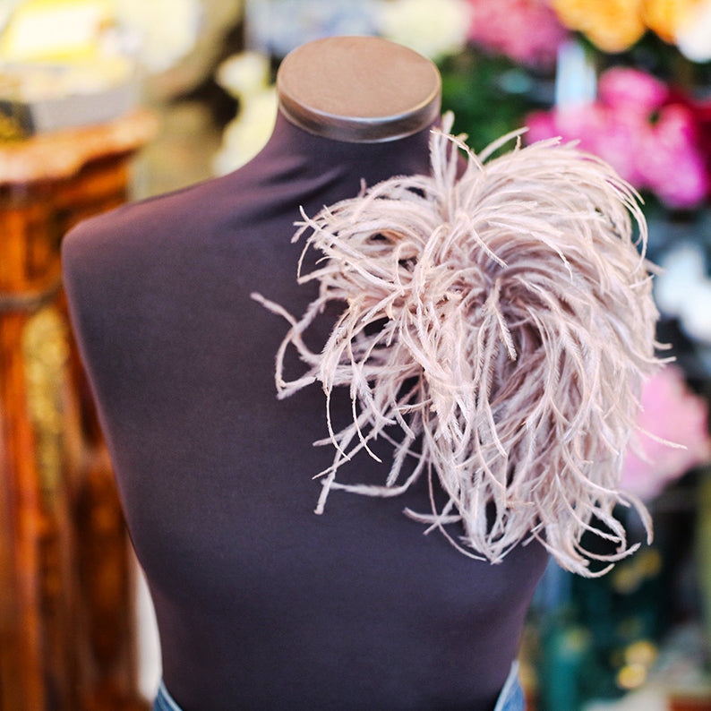 Brosch Strutsfjäder Bråbrun