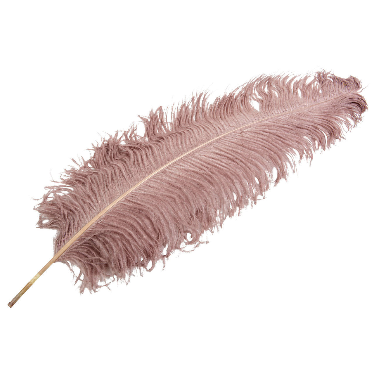 Strutsfjäder i nedtonad rosa
