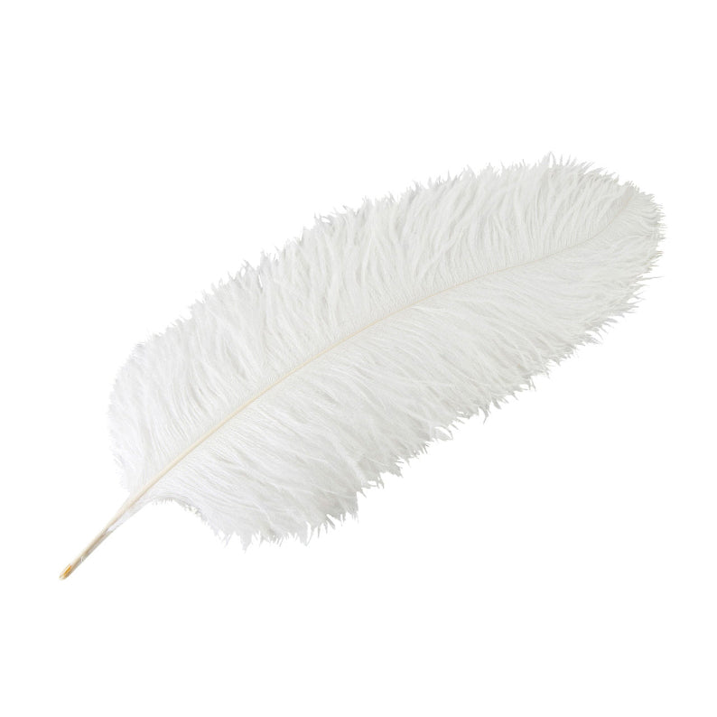 Strutsfjäder i vitt