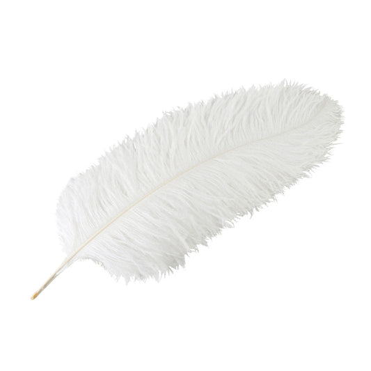 Strutsfjäder i vitt