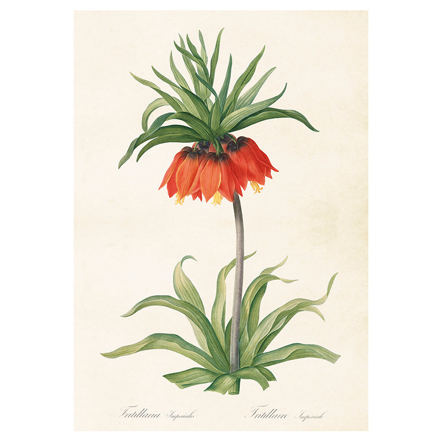 Vintage poster med Kejsarkrona