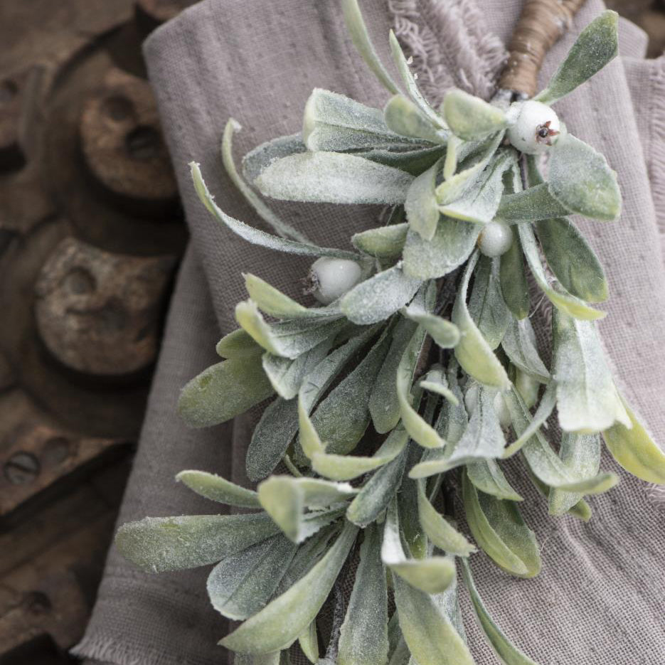 Mindre mistelkvist med frostade blad och vita bär.