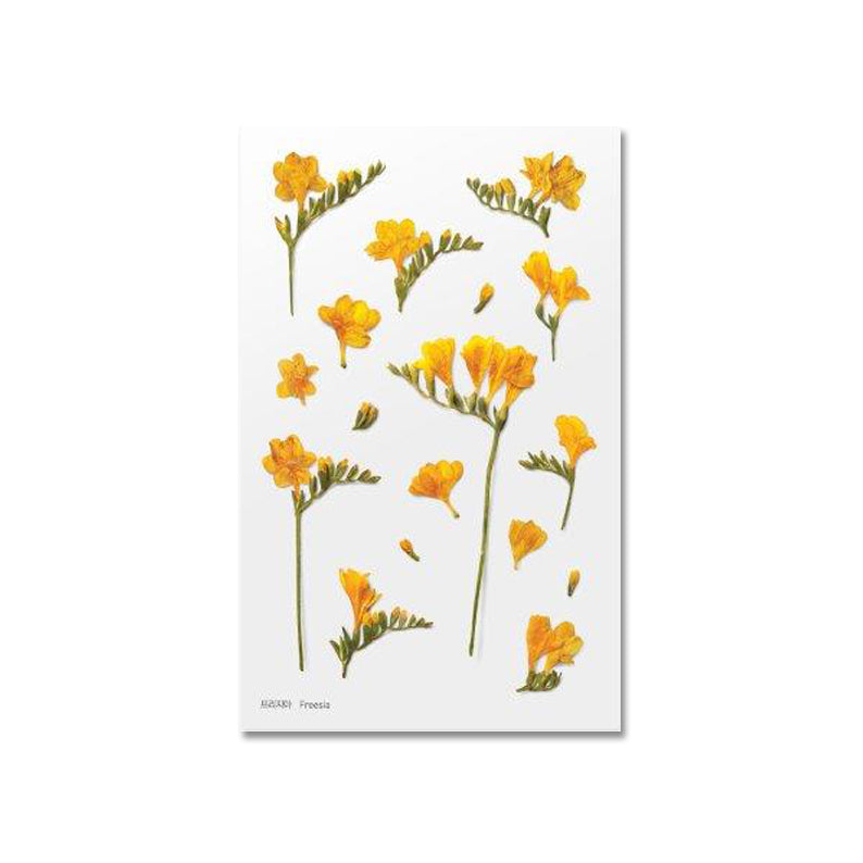 Fresia Klistermärke i form av pressade blommor o blad