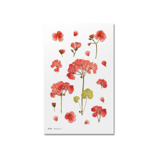 Klistermärke, pressade blommor i form av Pelargon