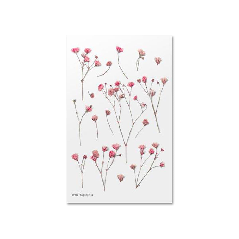 Klistermärke, pressade blommor i form av rosa Brudslöja