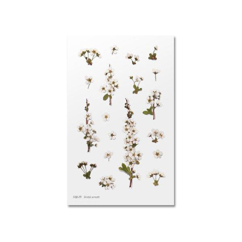 Klistermärke, pressade blommor i form av Spirea