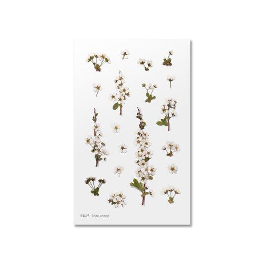 Klistermärke, pressade blommor i form av Spirea