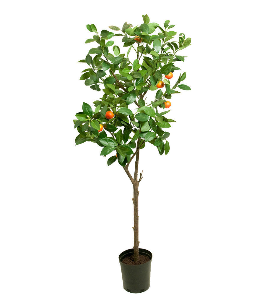 Konstgjort apelsinträd med frukter