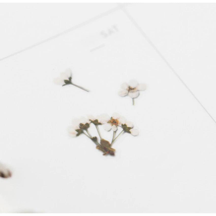 Klistermärke, pressade blommor i form av Spirea