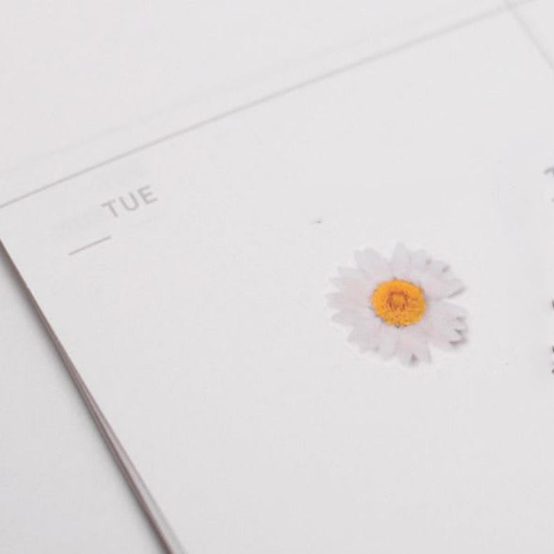 Klistermärke, pressade blommor i form av Margerit