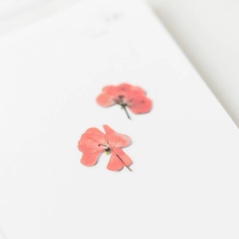 Klistermärke, pressade blommor i form av Pelargon