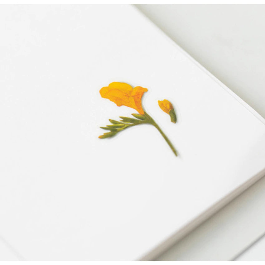 Pressade växter, Fresia