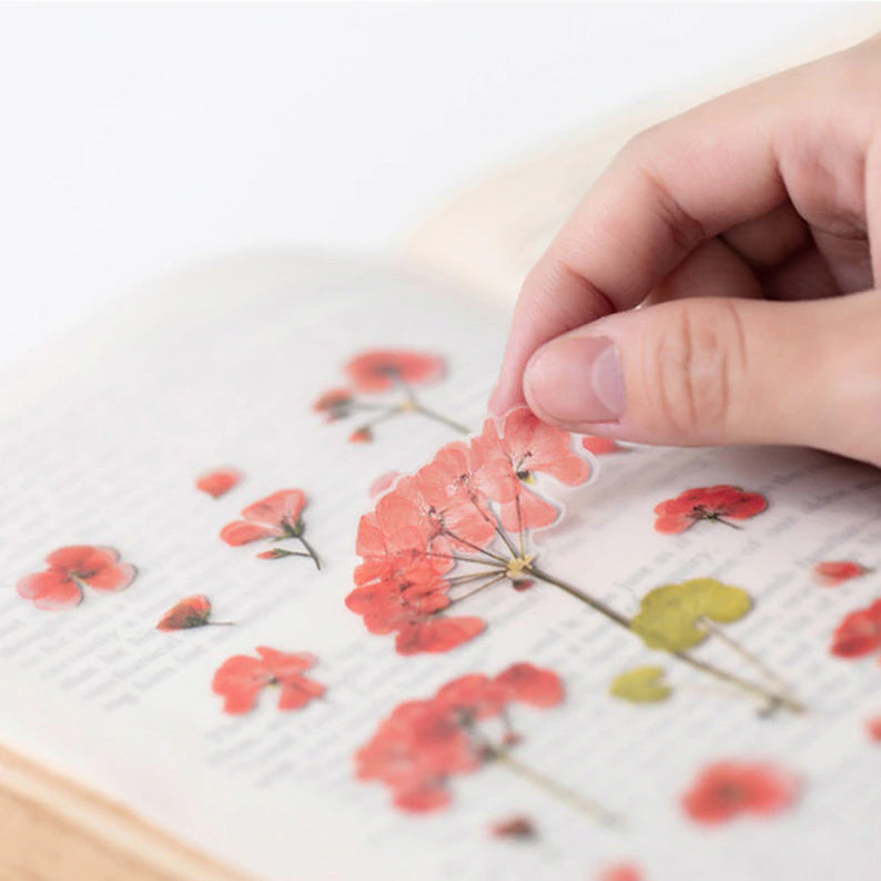 Klistermärke, pressade blommor i form av Pelargon