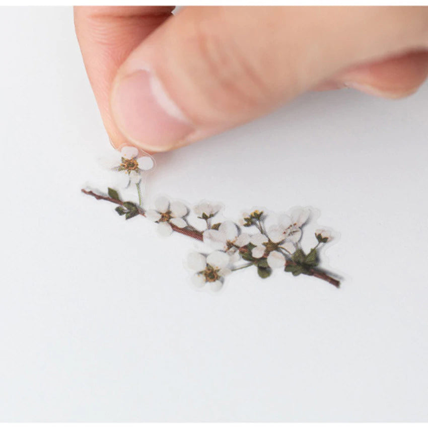 Klistermärke, pressade blommor i form av Spirea