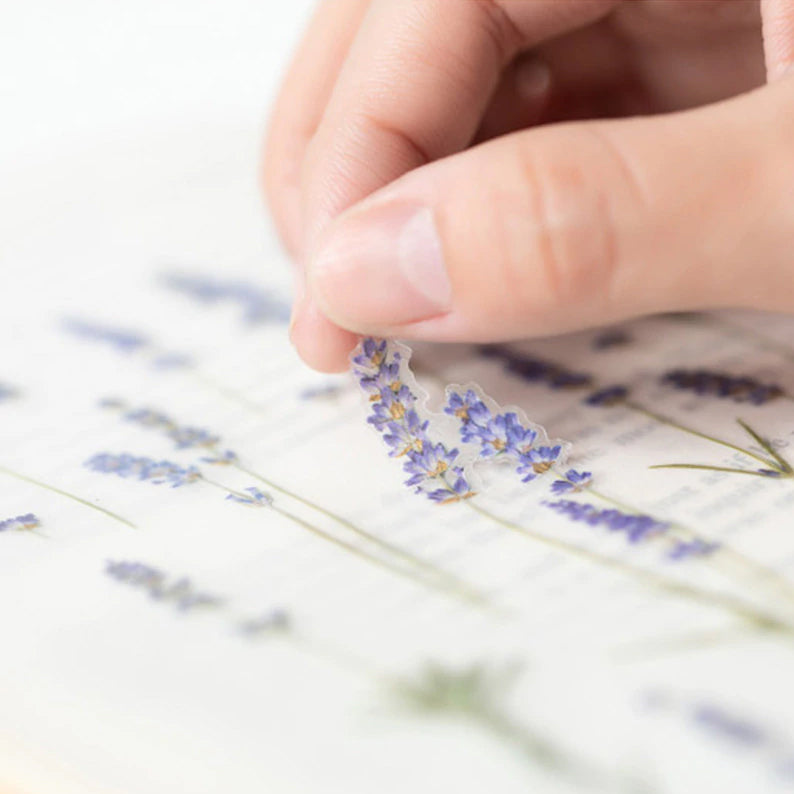 Lavendel Klistermärke i form av pressade blommor o blad