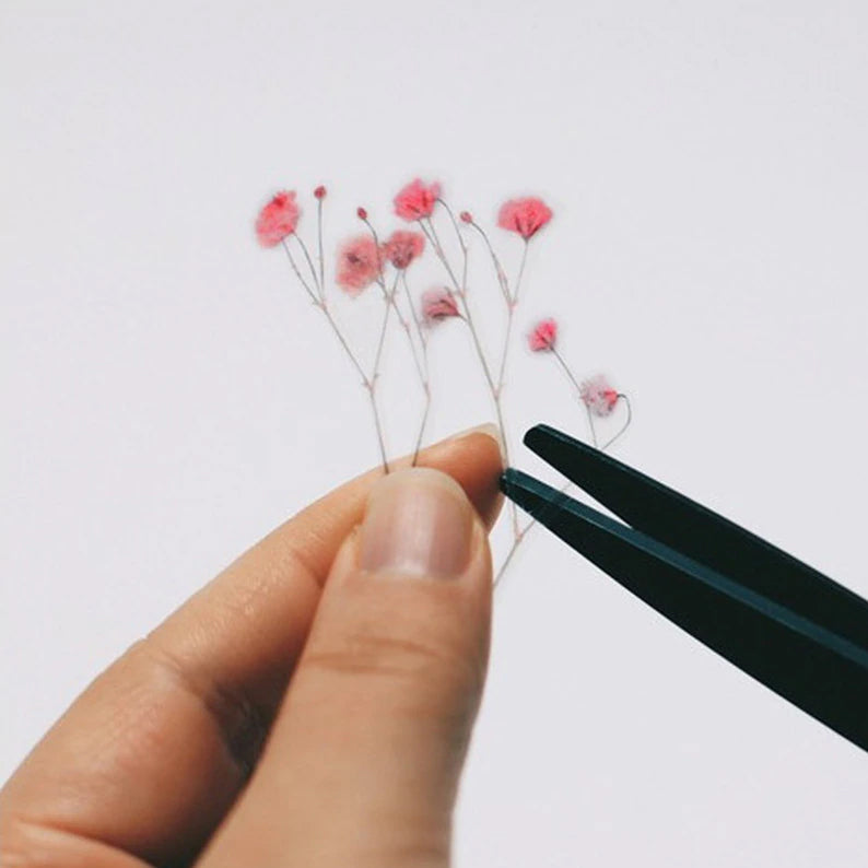 Klistermärke, pressade blommor i form av rosa Brudslöja som klipps itu