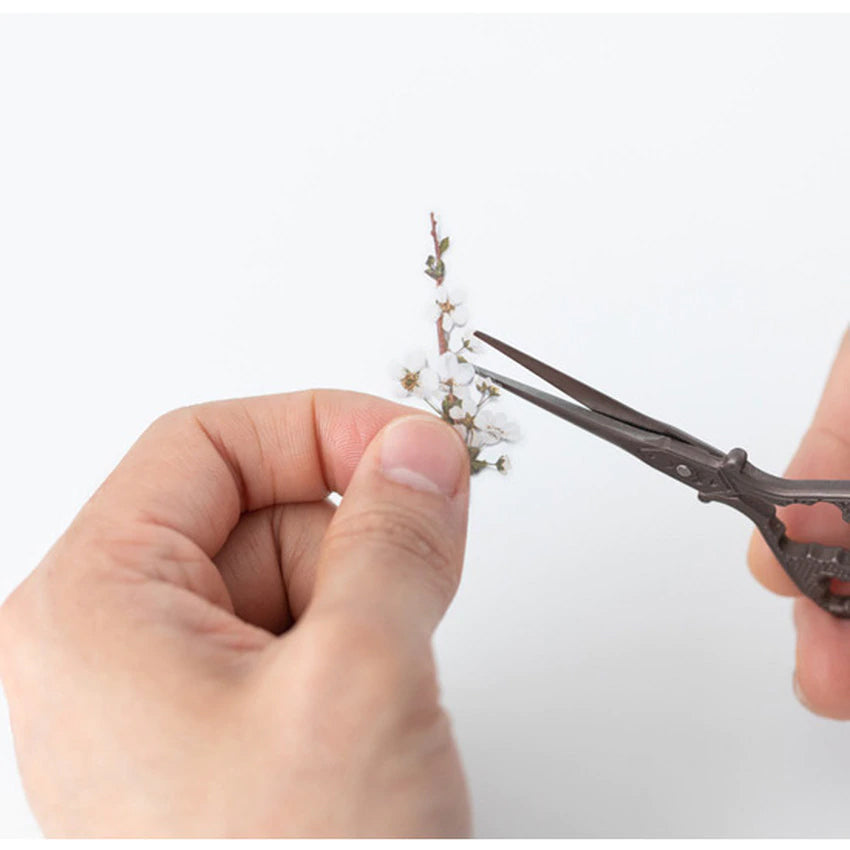 Klistermärke, pressade blommor i form av Spirea som klipps itu