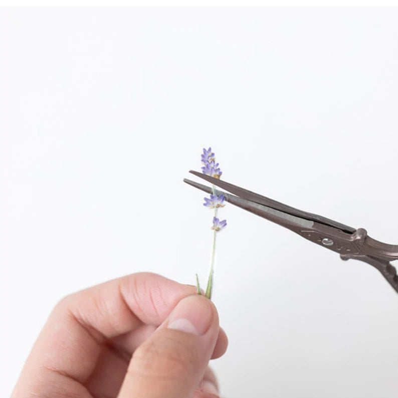 Lavendel Klistermärke som klipps itu