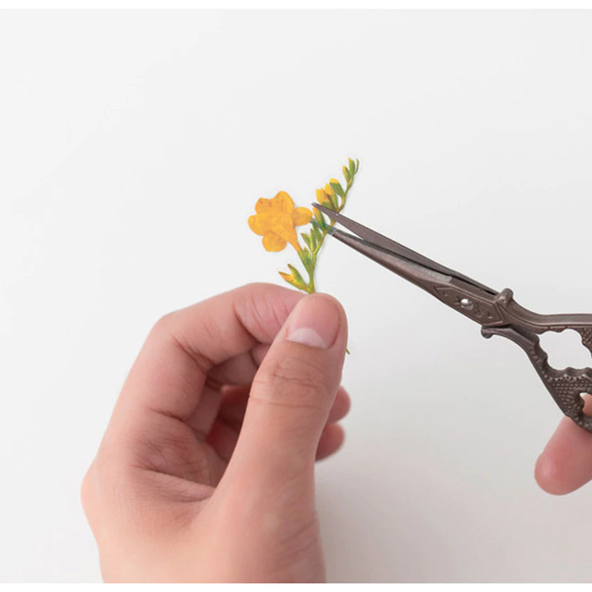 Fresia Klistermärke som klipps itu