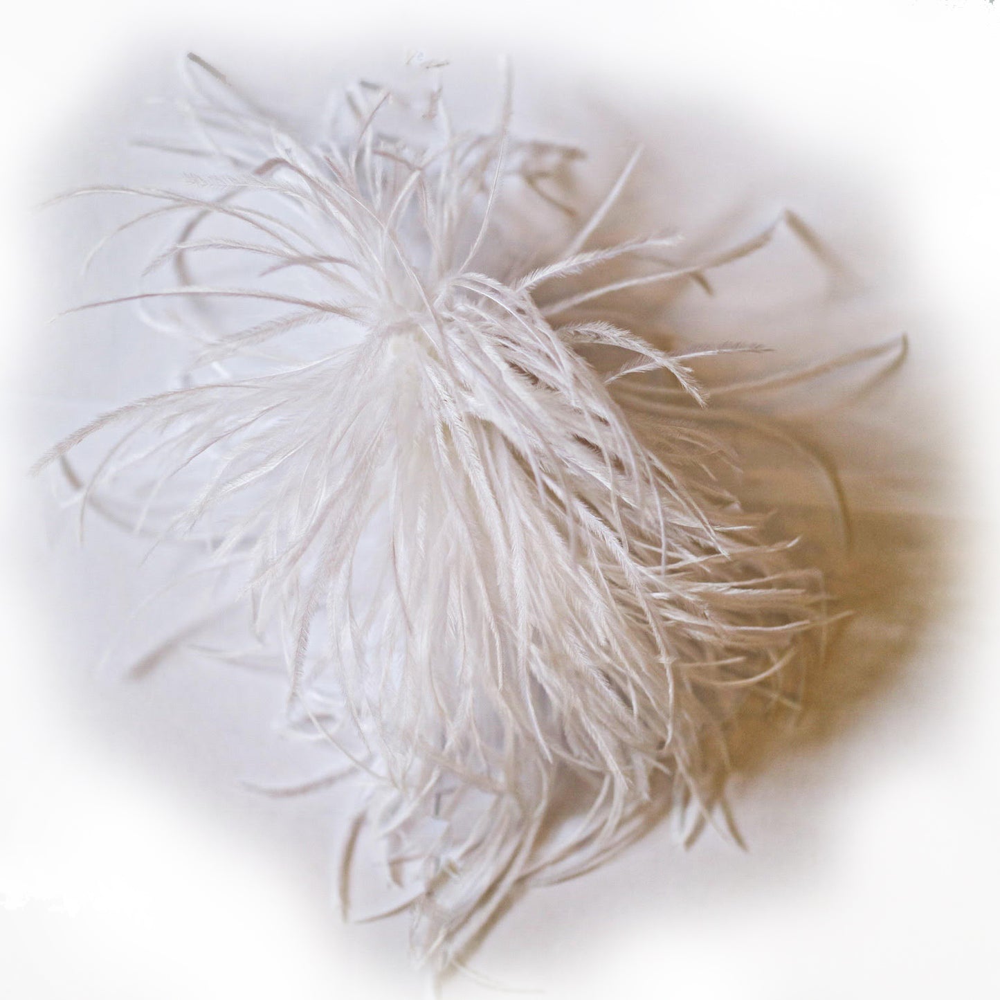 Brosch Strutsfjäder Vit