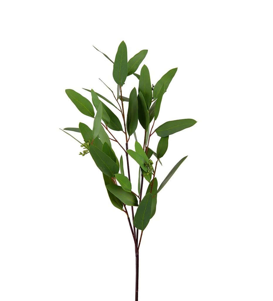 Konstgjord Eucalyptus