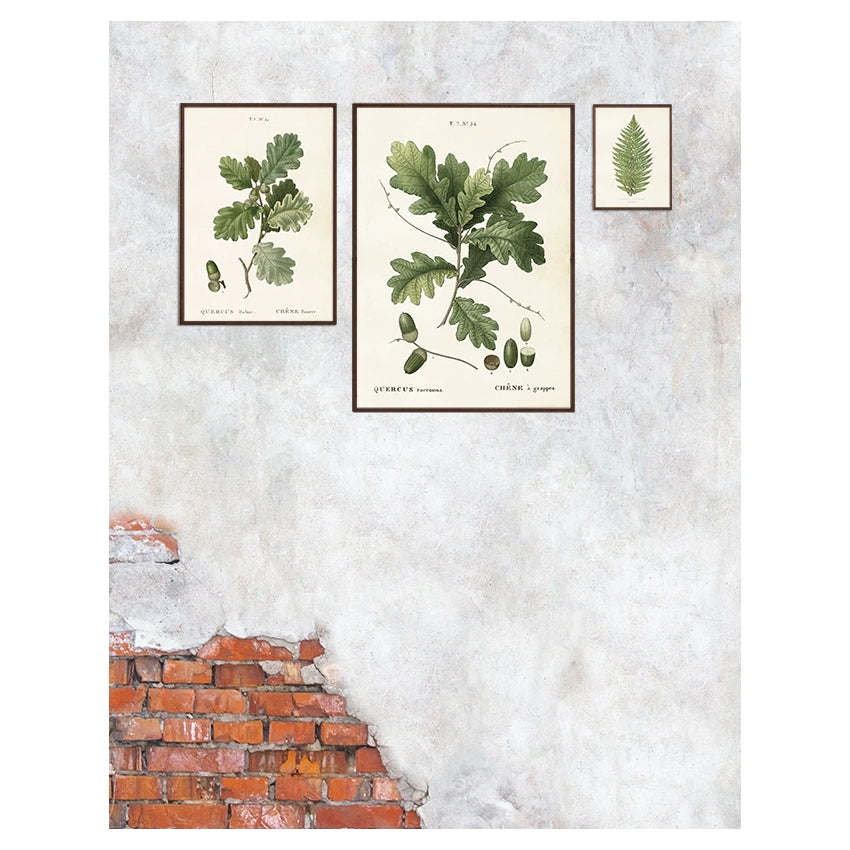 Poster, Ekollon L (50 x 70 cm)