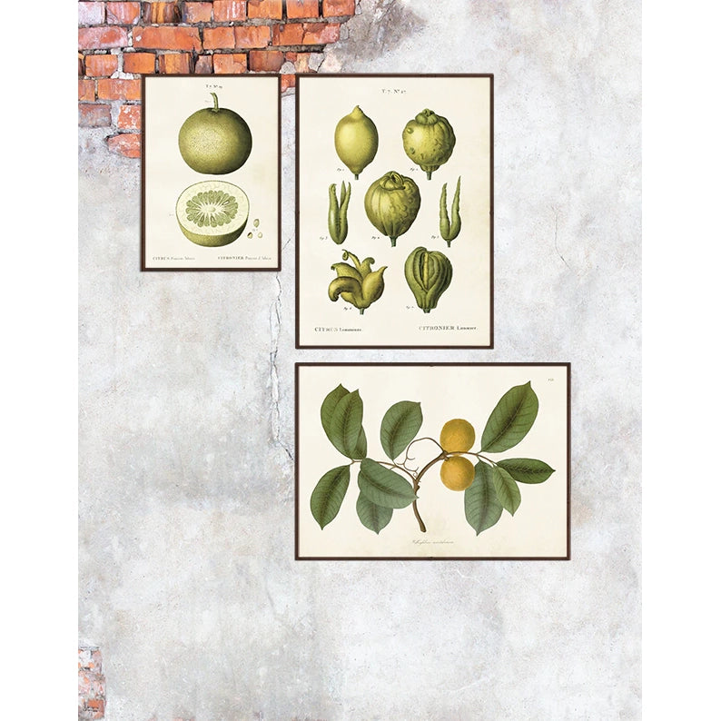 Vintage posters med olika motiv