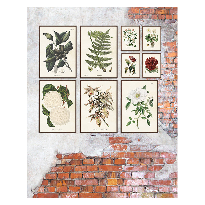 Flera olika posters med olika motiv