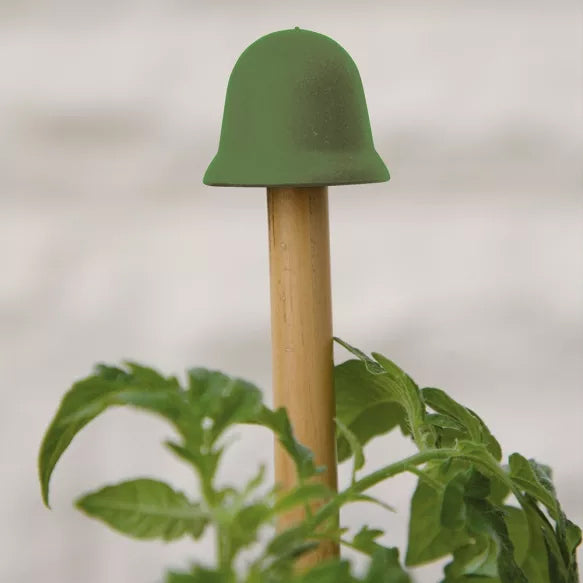 Spaljetopp på en pinne