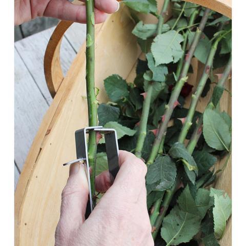 Stjälkrensare som används på rosskaft