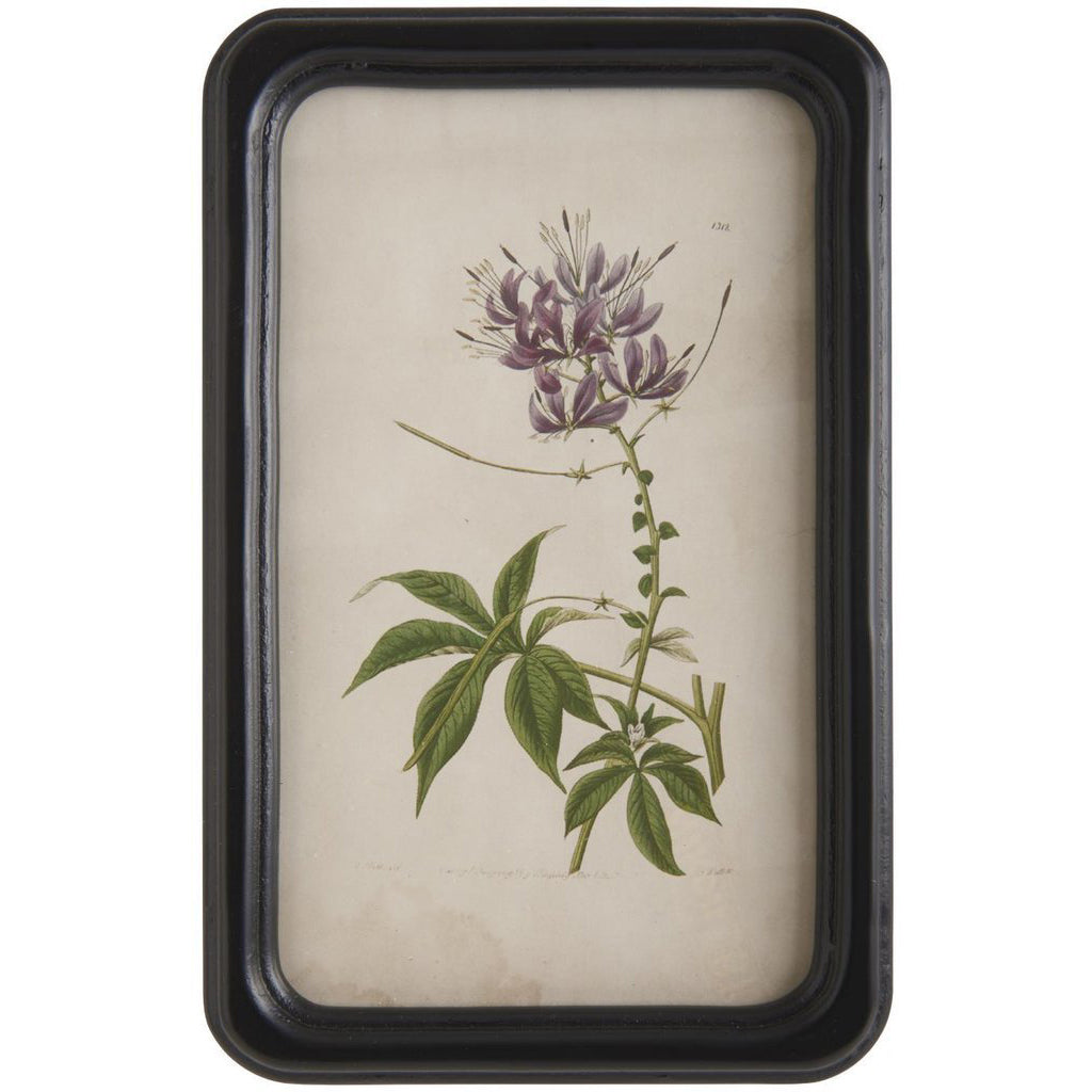 En tavla med blomstermotiv och svart ram