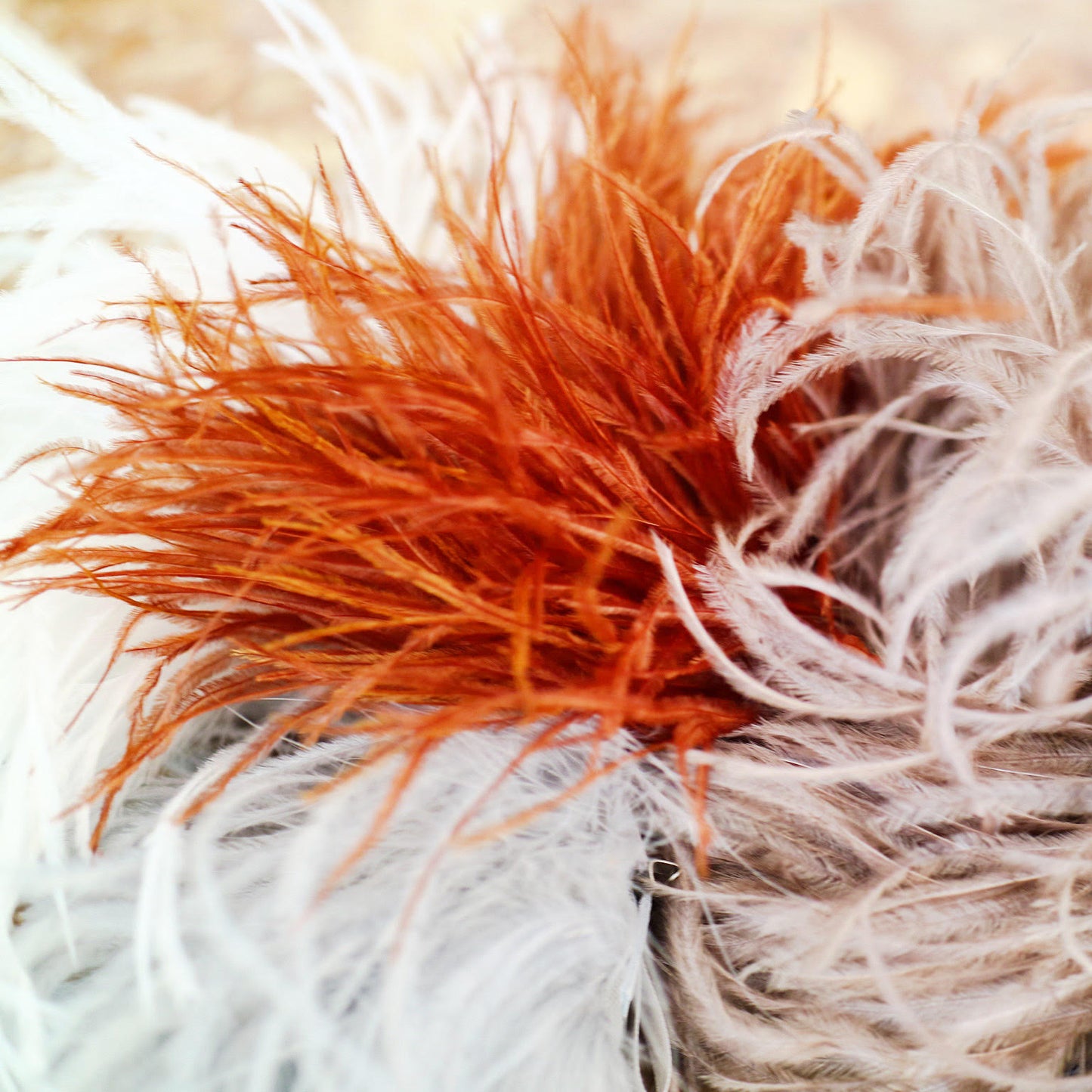 Broche Struds Fjer Kobber