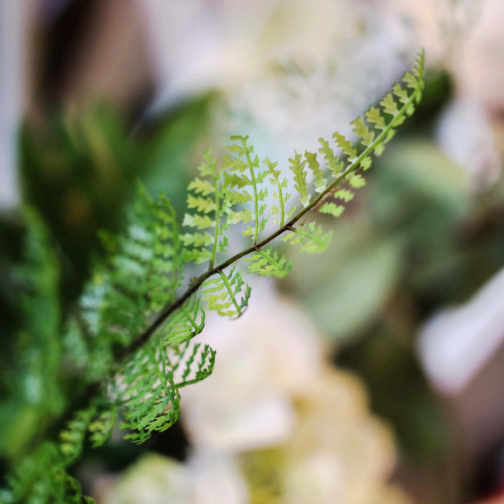 Detalj av konstgjord blomma, Ormbunksblad